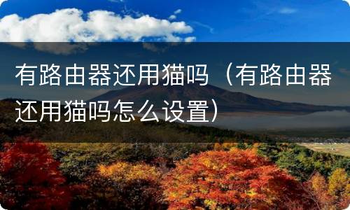 有路由器还用猫吗（有路由器还用猫吗怎么设置）
