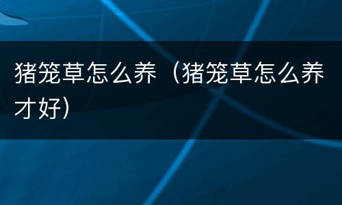 猪笼草怎么养（猪笼草怎么养才好）