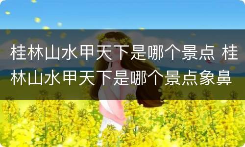 桂林山水甲天下是哪个景点 桂林山水甲天下是哪个景点象鼻山