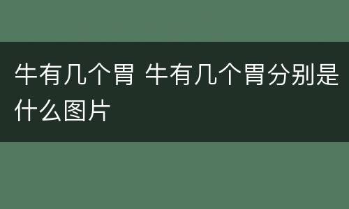 牛有几个胃 牛有几个胃分别是什么图片