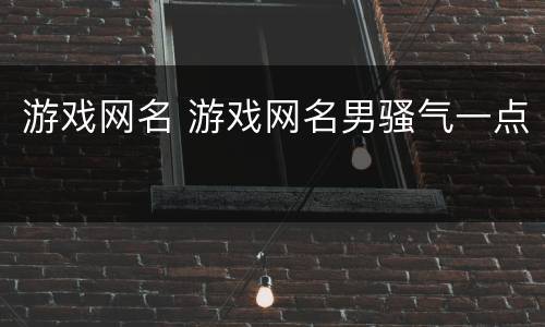 游戏网名 游戏网名男骚气一点