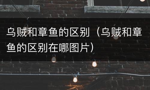 乌贼和章鱼的区别（乌贼和章鱼的区别在哪图片）
