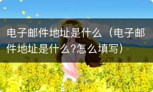 电子邮件地址是什么（电子邮件地址是什么?怎么填写）