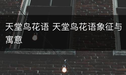 天堂鸟花语 天堂鸟花语象征与寓意