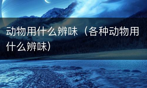 动物用什么辨味（各种动物用什么辨味）