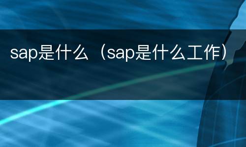 sap是什么（sap是什么工作）