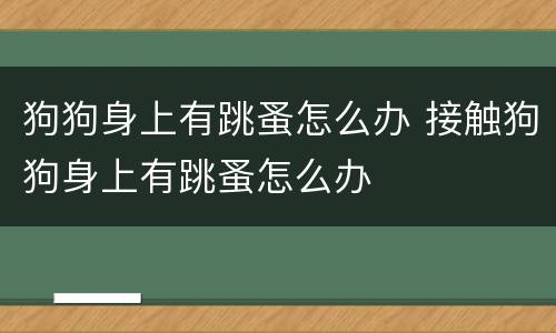 狗狗身上有跳蚤怎么办 接触狗狗身上有跳蚤怎么办