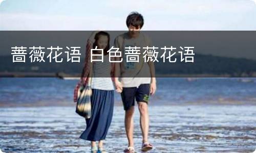 蔷薇花语 白色蔷薇花语