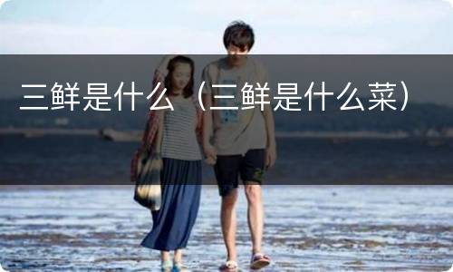 三鲜是什么（三鲜是什么菜）