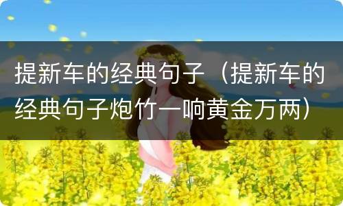 提新车的经典句子（提新车的经典句子炮竹一响黄金万两）