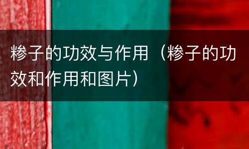 糁子的功效与作用（糁子的功效和作用和图片）