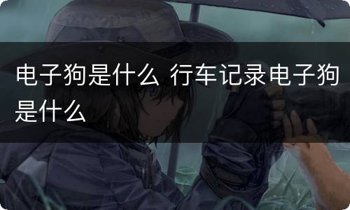 电子狗是什么 行车记录电子狗是什么