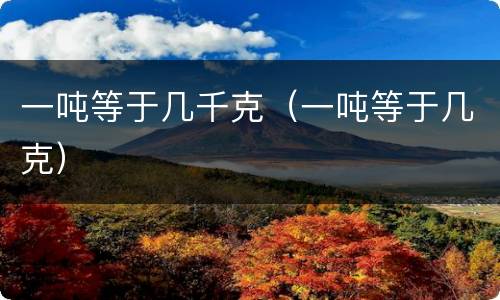 一吨等于几千克（一吨等于几克）