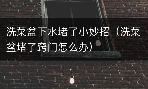 洗菜盆下水堵了小妙招（洗菜盆堵了窍门怎么办）