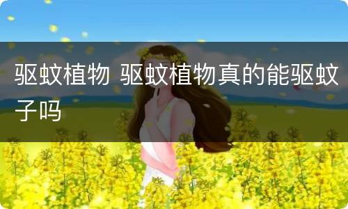 驱蚊植物 驱蚊植物真的能驱蚊子吗