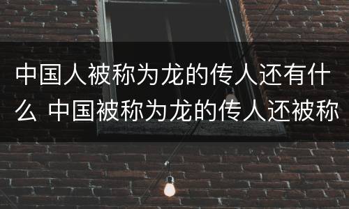 中国人被称为龙的传人还有什么 中国被称为龙的传人还被称为什么