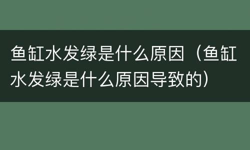 鱼缸水发绿是什么原因（鱼缸水发绿是什么原因导致的）