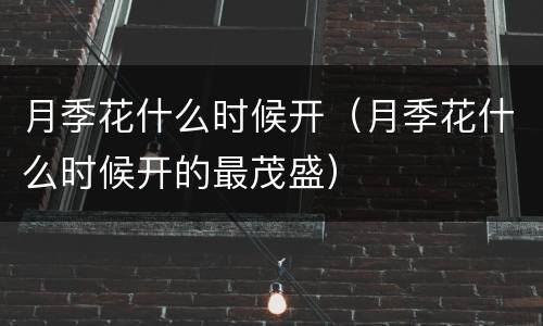 月季花什么时候开（月季花什么时候开的最茂盛）