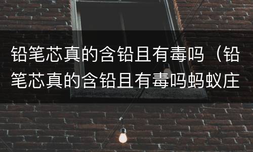 铅笔芯真的含铅且有毒吗（铅笔芯真的含铅且有毒吗蚂蚁庄园）