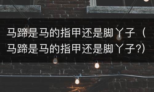 马蹄是马的指甲还是脚丫子（马蹄是马的指甲还是脚丫子?）