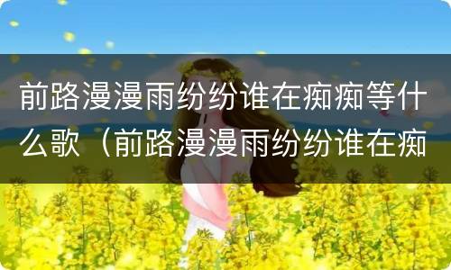 前路漫漫雨纷纷谁在痴痴等什么歌（前路漫漫雨纷纷谁在痴痴等是什么歌歌词）