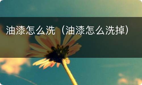 油漆怎么洗（油漆怎么洗掉）