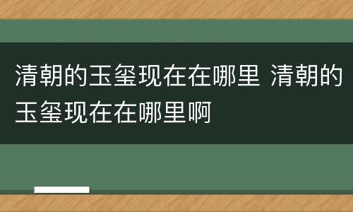 清朝的玉玺现在在哪里 清朝的玉玺现在在哪里啊