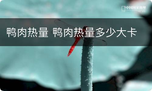 鸭肉热量 鸭肉热量多少大卡