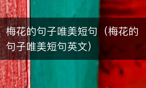 梅花的句子唯美短句（梅花的句子唯美短句英文）