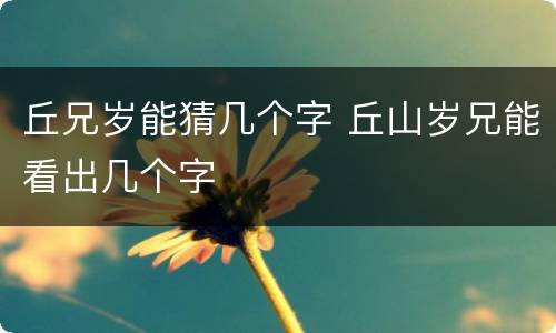 丘兄岁能猜几个字 丘山岁兄能看出几个字