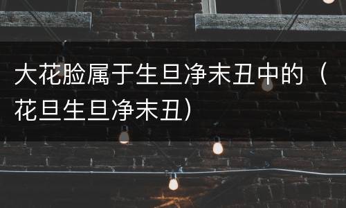 大花脸属于生旦净末丑中的（花旦生旦净末丑）
