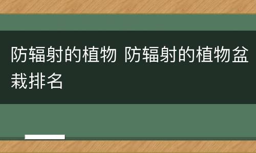 防辐射的植物 防辐射的植物盆栽排名