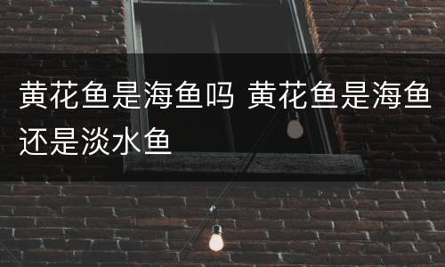 黄花鱼是海鱼吗 黄花鱼是海鱼还是淡水鱼
