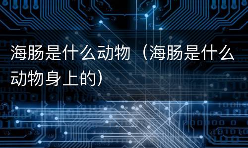海肠是什么动物（海肠是什么动物身上的）