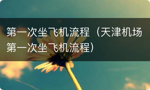 第一次坐飞机流程（天津机场第一次坐飞机流程）