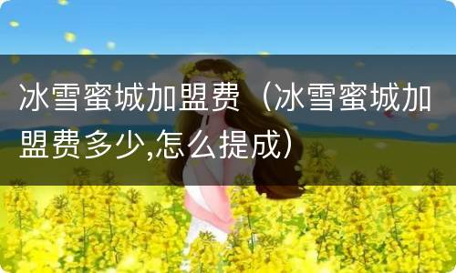 冰雪蜜城加盟费（冰雪蜜城加盟费多少,怎么提成）