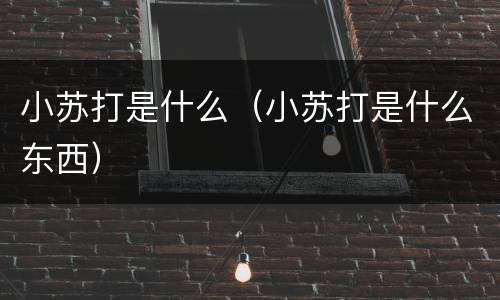 小苏打是什么（小苏打是什么东西）