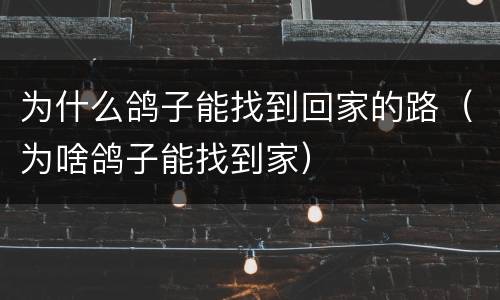 为什么鸽子能找到回家的路（为啥鸽子能找到家）