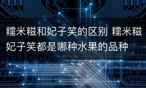 糯米糍和妃子笑的区别 糯米糍妃子笑都是哪种水果的品种