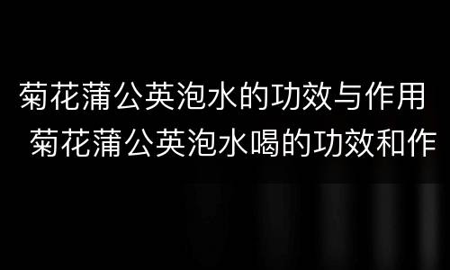 菊花蒲公英泡水的功效与作用 菊花蒲公英泡水喝的功效和作用