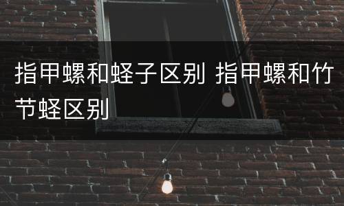 指甲螺和蛏子区别 指甲螺和竹节蛏区别