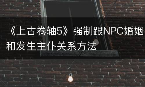 《上古卷轴5》强制跟NPC婚姻和发生主仆关系方法