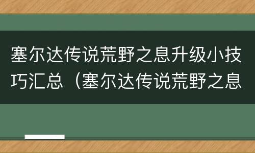 塞尔达传说荒野之息升级小技巧汇总（塞尔达传说荒野之息怎么升级）