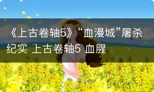 《上古卷轴5》“血漫城”屠杀纪实 上古卷轴5 血腥