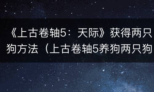 《上古卷轴5：天际》获得两只狗方法（上古卷轴5养狗两只狗）