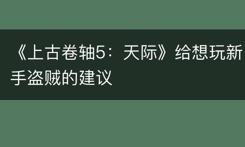 《上古卷轴5：天际》给想玩新手盗贼的建议
