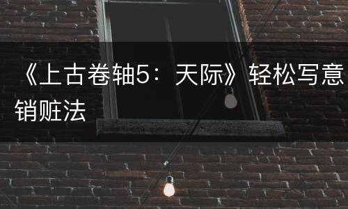 《上古卷轴5：天际》轻松写意销赃法