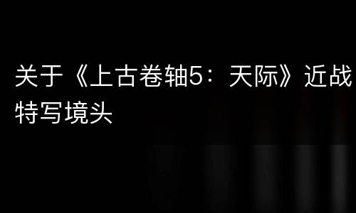 关于《上古卷轴5：天际》近战特写境头