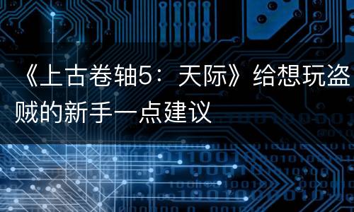 《上古卷轴5：天际》给想玩盗贼的新手一点建议