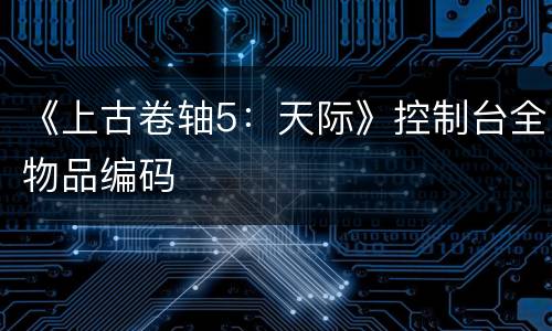 《上古卷轴5：天际》控制台全物品编码